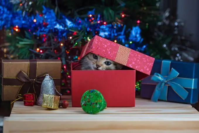 Què no donar per l'any nou?