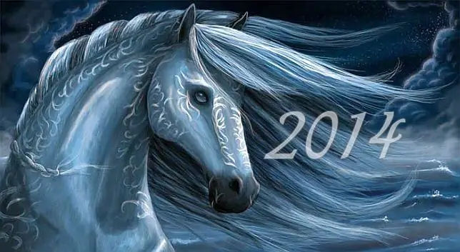 What will the Year of the Horse bring us? Horoscope for 2014