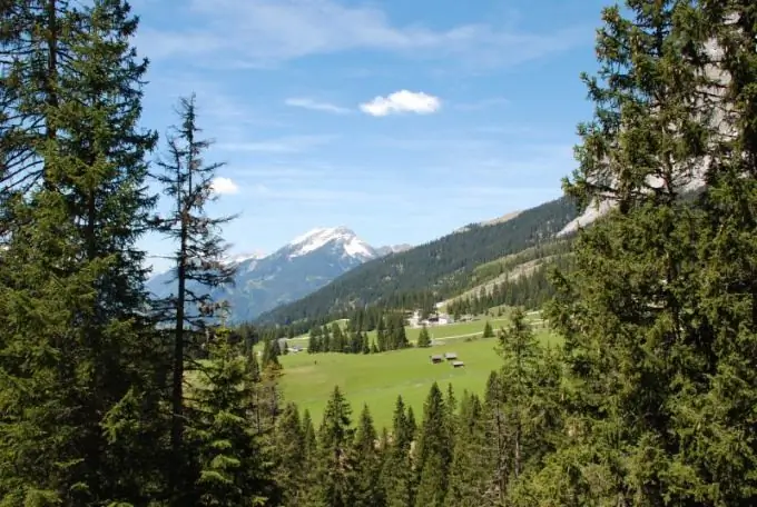 Come prendersi cura della natura