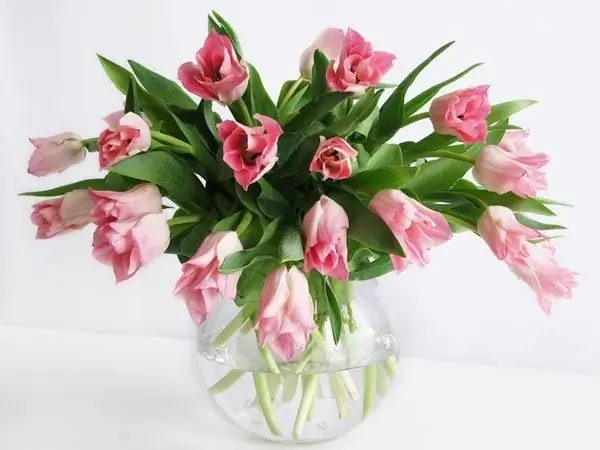 Welke bloemen worden op 8 maart gepresenteerd